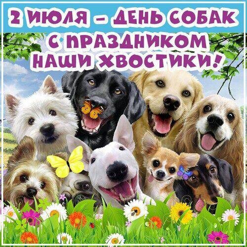 Международный день собак.