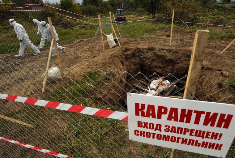 Подписан закон о запрете создания новых скотомогильников. Подписан закон о запрете создания новых скотомогильников.