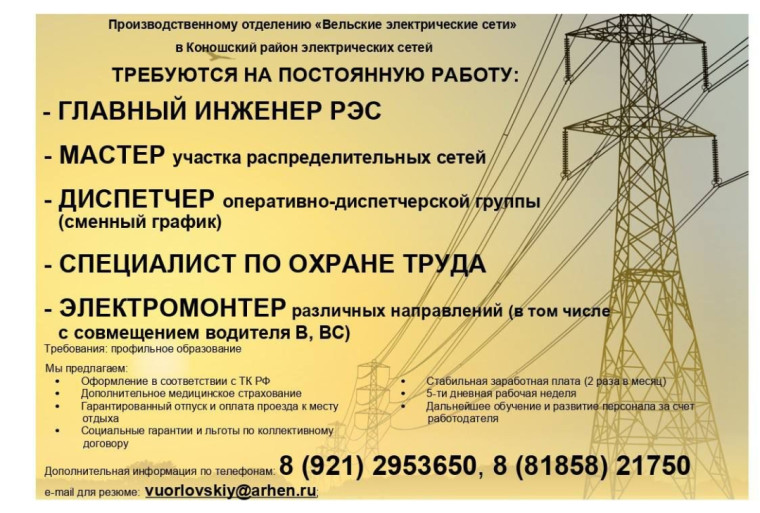 Трудоустройство. Трудоустройство.